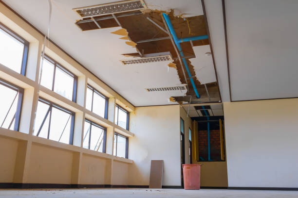 Best Residential water damage restoration  in Gunbarrel, CO