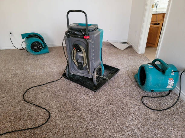 Best Water damage restoration specialists  in Gunbarrel, CO