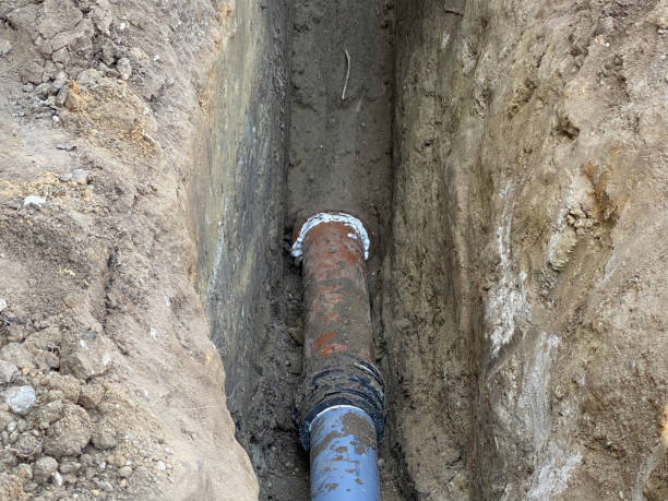 Best Sewage cleanup and water damage restoration  in Gunbarrel, CO