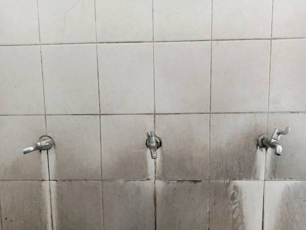 Best Carpet water damage restoration  in Gunbarrel, CO